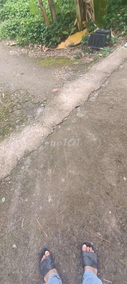 Cần bán đất nền và vườn