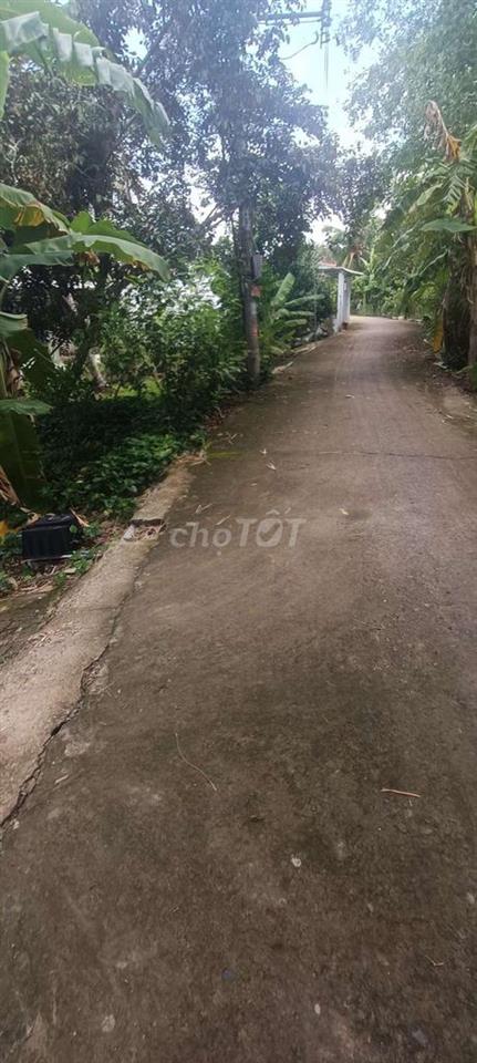 Cần bán đất nền và vườn