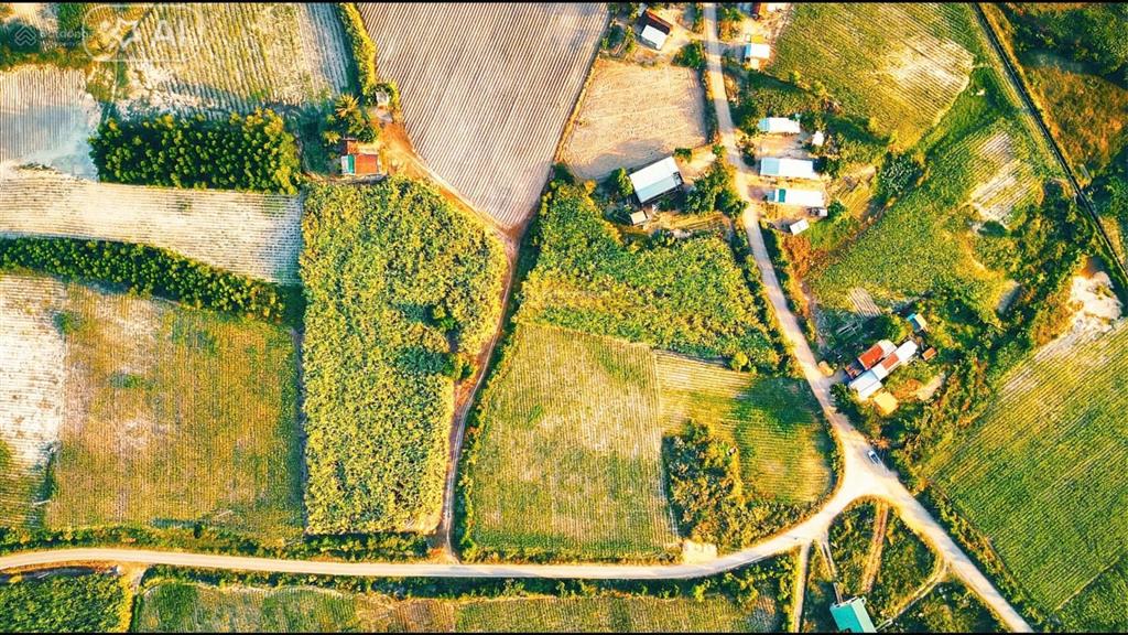 Lô full thổ cư tại ninh hòa chỉ 259 triệu.
diện tích 125m2 ngang 5m.
đường bê tông 56m.