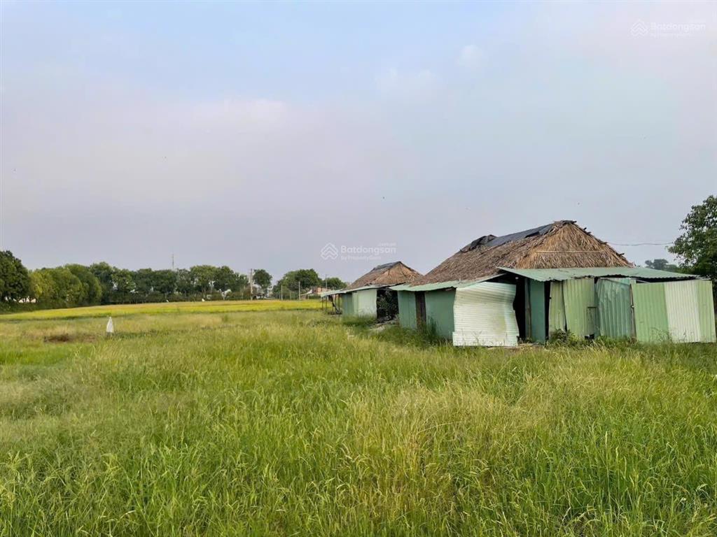 Bán 9000m2 đất, giáp vissan, đường xuân thới thượng 2, bà điểm, hóc môn