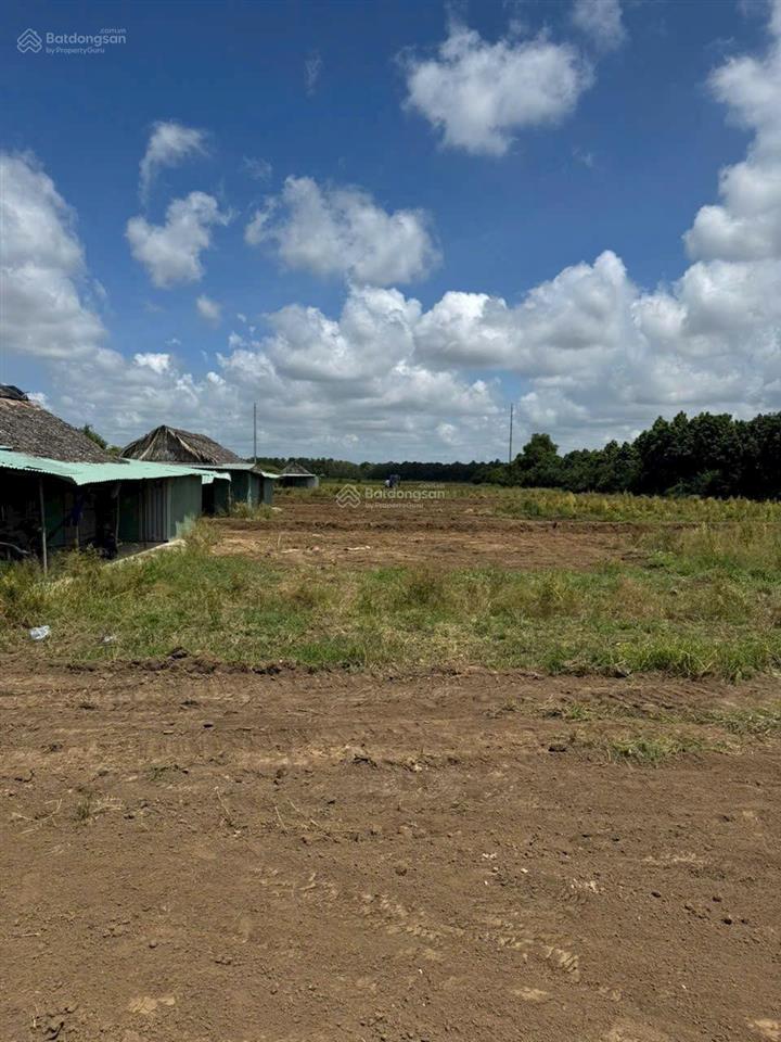 Bán 9000m2 đất, giáp vissan, đường xuân thới thượng 2, bà điểm, hóc môn