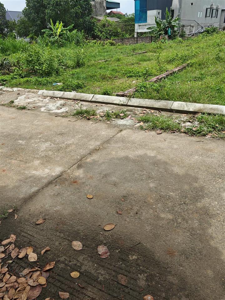 Đất đẹp kim anh  sóc sơn  full thổ cư  vuông vắn siêu đẹp  dt 105,2m2  giá tốt