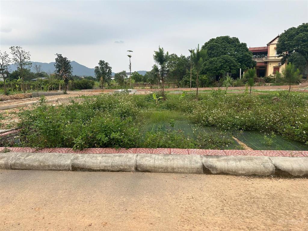 100m full thổ cư vụ bản minh trí sóc sơn hà nội đường rộng ngõ thông oto vào tận đất