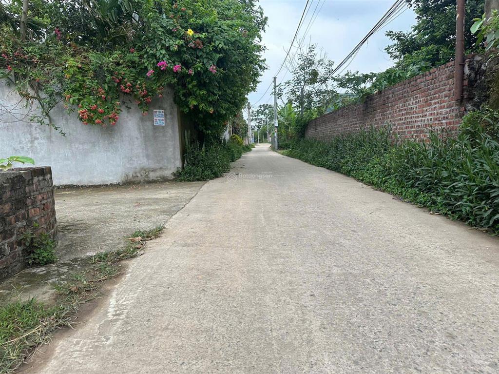 62,5m phú ninh minh phú sóc sơn hà nội ( nay là phú ninh kim anh hà nội ) full thổ cư