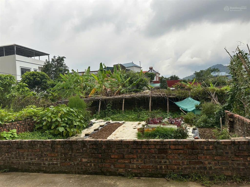 62,5m phú ninh minh phú sóc sơn hà nội ( nay là phú ninh kim anh hà nội ) full thổ cư