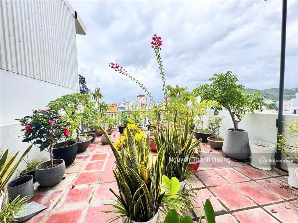 Nhà mặt đường có thang máy  phường bắc nha trang 7 tầng gồm 7pn 7vs 18 tỷ gần biển hòn chồng