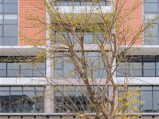 Chính chủ chuyển nhượng shophouse nhà phố thương mại  140m  giá 20 tỷ