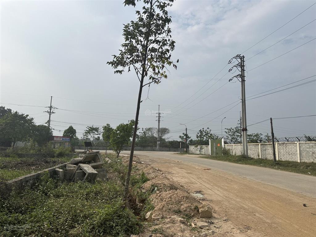 Duy nhất 1 lô hàng hiếm phân lô cán bộ xuân mai