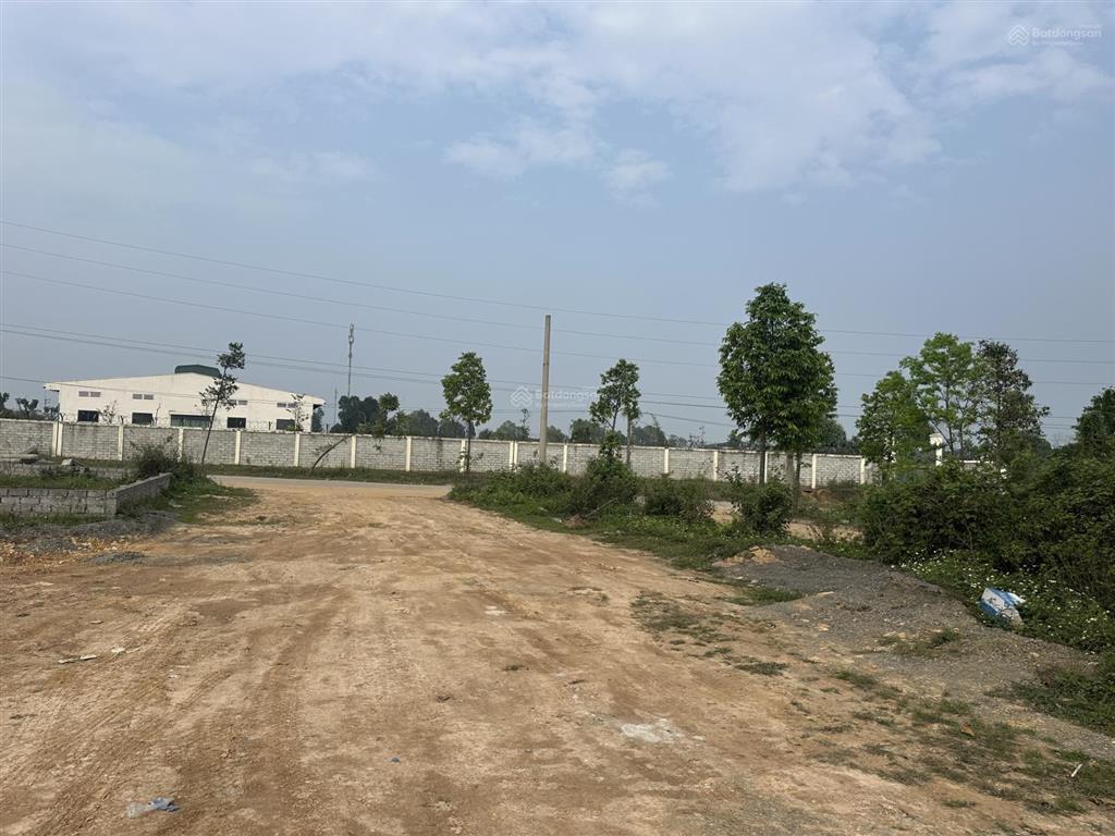 Duy nhất 1 lô hàng hiếm phân lô cán bộ xuân mai