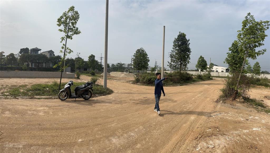 Duy nhất 1 lô hàng hiếm phân lô cán bộ xuân mai