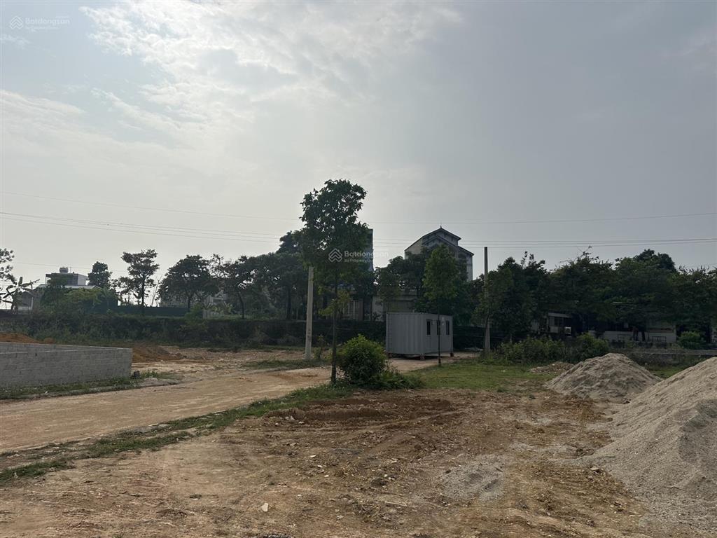 Duy nhất 1 lô hàng hiếm phân lô cán bộ xuân mai