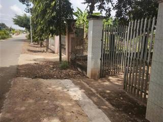 Bán đất tặng nhà cấp 4 và vườn cây trái