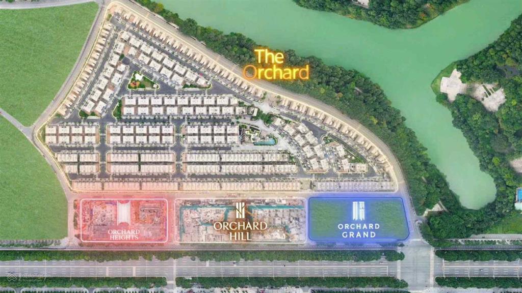 Bán căn hộ orchard collection  dự án sycamore chủ đầu tư capitaland