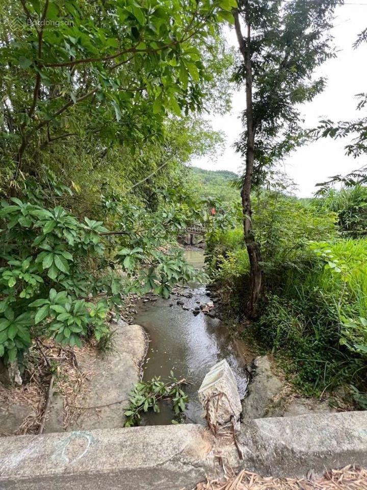 Thửa đất số 13
tờ bản đồ số 40
bán lô đất tại thôn khánh thành nam, xã suối cát, huyện cam