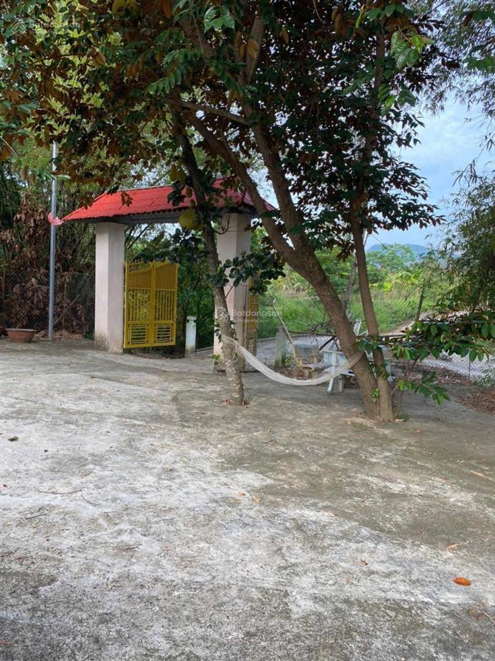 Thửa đất số 13
tờ bản đồ số 40
bán lô đất tại thôn khánh thành nam, xã suối cát, huyện cam