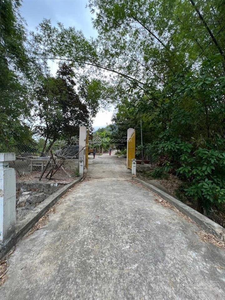 Thửa đất số 13
tờ bản đồ số 40
bán lô đất tại thôn khánh thành nam, xã suối cát, huyện cam