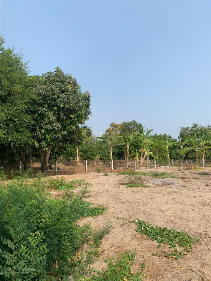 Siêu phẩm ~1000m2 cần giờ  đón đầu vinhomes paradise  qh 2 mặt tiền gần 1000m2 (có 455m2 đất ont)