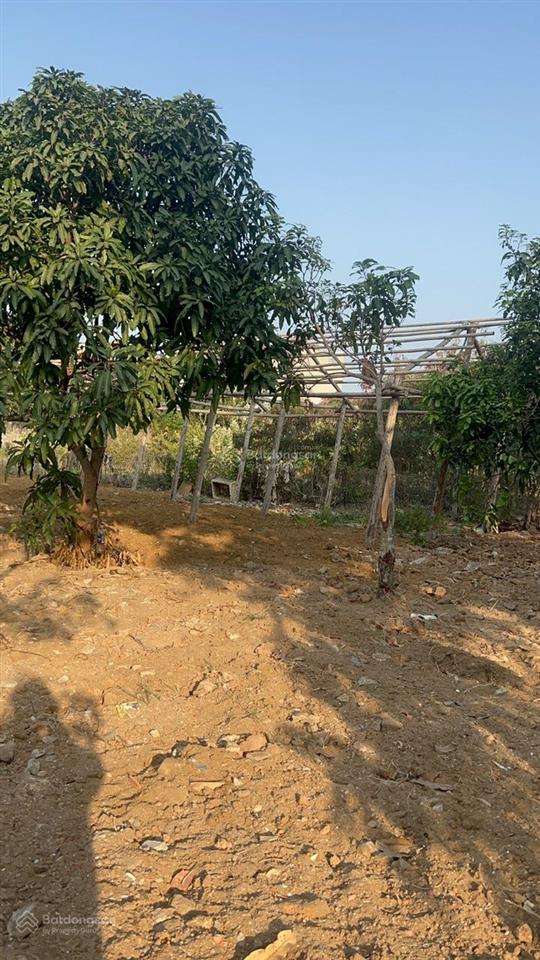 Siêu phẩm ~1000m2 cần giờ  đón đầu vinhomes paradise  qh 2 mặt tiền gần 1000m2 (có 455m2 đất ont)