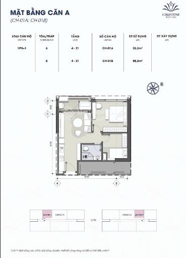 Đón sóng cất nóc celestine thời điểm vàng để đầu tư an toàn chốt nhanh kẻo lỡ căn 2 p ngủ 1x tỷ