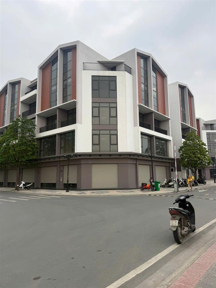 BÁN GẤP 16 TỶ HÀNG HIẾM CHỦ ĐẦU TƯ TRỤC KINH DOANH – PB19 OCEAN CITY VỪA Ở VỪA KD SỔ LÂU