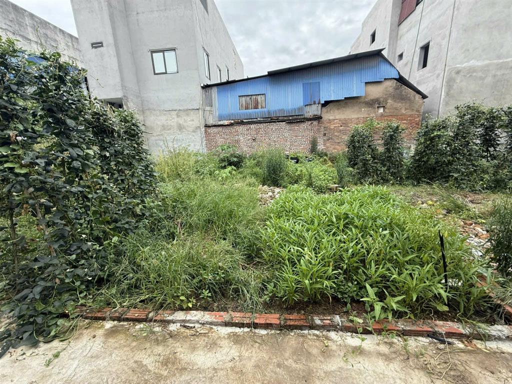 Đỗ Đại Uyên - Bắc Ninh Nhỉnh 4.x tỷ phân lô 90m2 Mt 4,5m sâu 20m đường trước nhà 8m vỉa