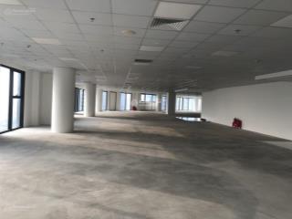 Bql tòa the artemis, lê trọng tấn cho thuê vp giá cực sốc. dt 250m2 có thể chia nhỏ, giá 220k/m2/th