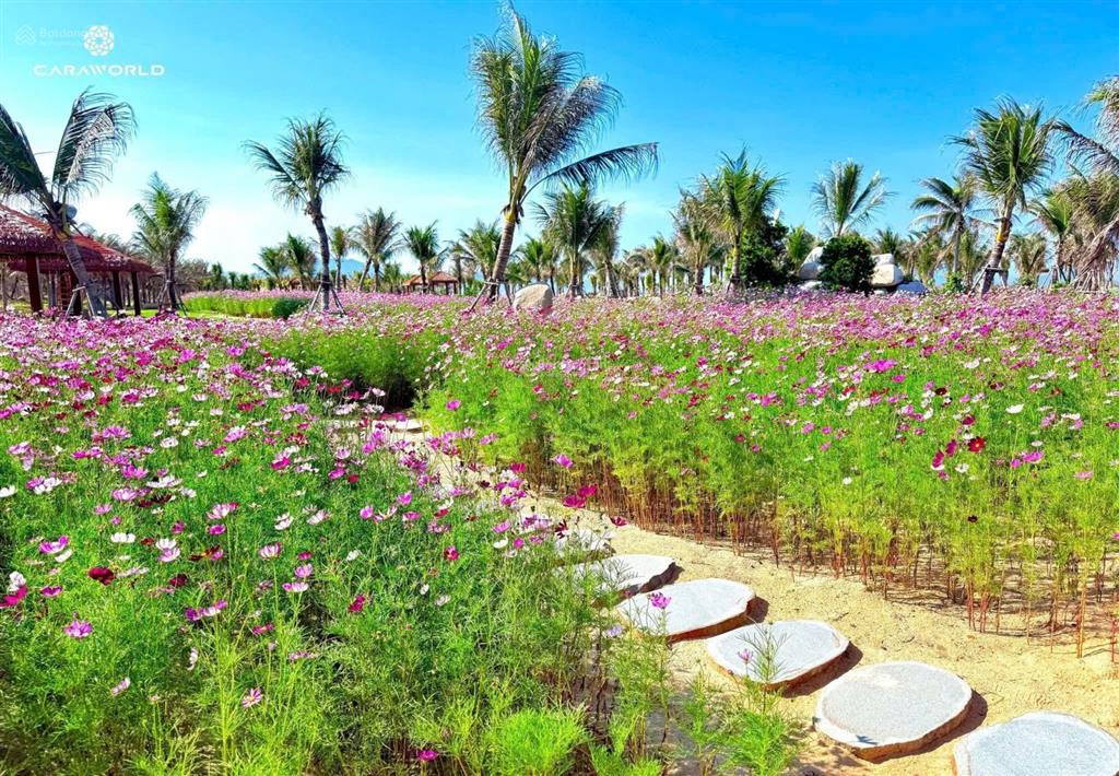 Bán căn sunpark view công viên đã có sổ , giá chỉ 4tỷ6