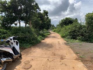 Cần tiền bán gấp đất đường trần trung lương, phường bắc gia nghĩa, lâm đồng