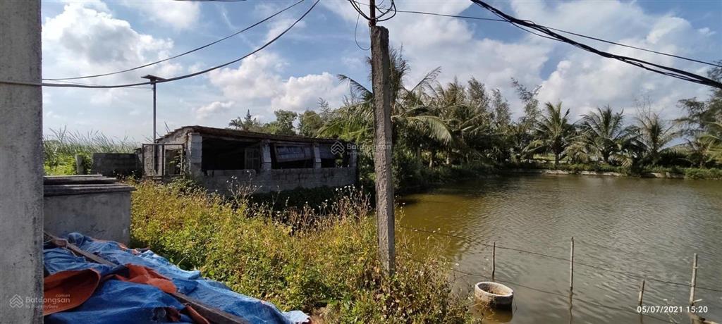 Bán hơn 5000m đất trang trại ở kiến thuỵ, hải phòng, giá êm cho khách thiện trí