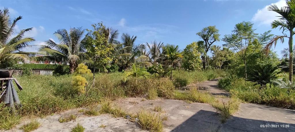 Bán hơn 5000m đất trang trại ở kiến thuỵ, hải phòng, giá êm cho khách thiện trí