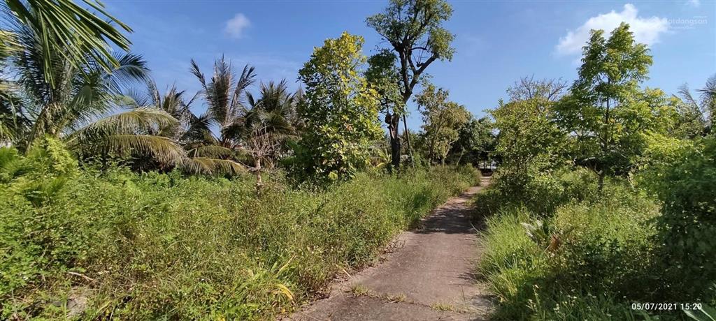 Bán hơn 5000m đất trang trại ở kiến thuỵ, hải phòng, giá êm cho khách thiện trí