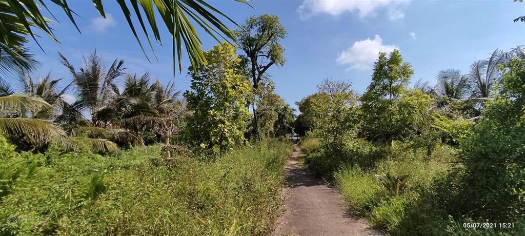 Bán hơn 5000m đất trang trại ở kiến thuỵ, hải phòng, giá êm cho khách thiện trí