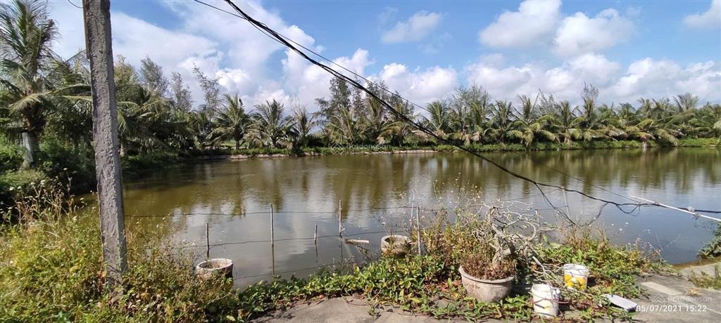 Bán hơn 5000m đất trang trại ở kiến thuỵ, hải phòng, giá êm cho khách thiện trí