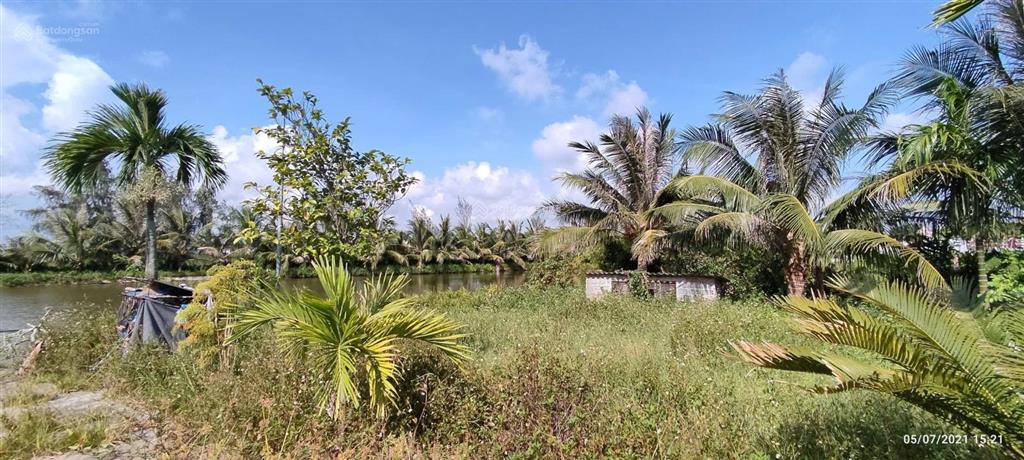 Bán hơn 5000m đất trang trại ở kiến thuỵ, hải phòng, giá êm cho khách thiện trí