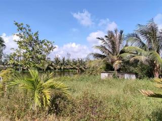 Bán hơn 5000m đất trang trại ở kiến thuỵ, hải phòng, giá êm cho khách thiện trí