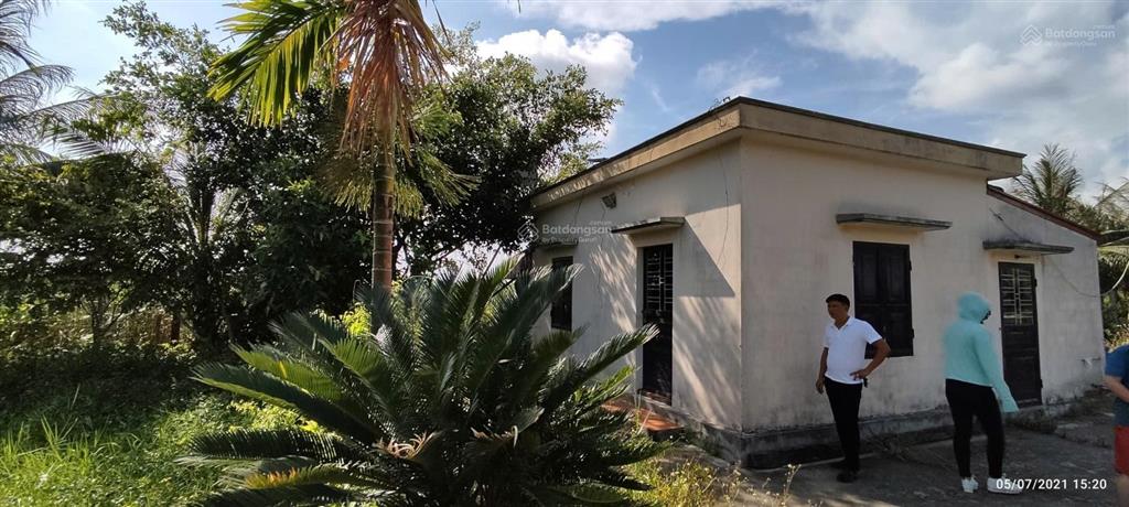 Bán hơn 5000m đất trang trại ở kiến thuỵ, hải phòng, giá êm cho khách thiện trí