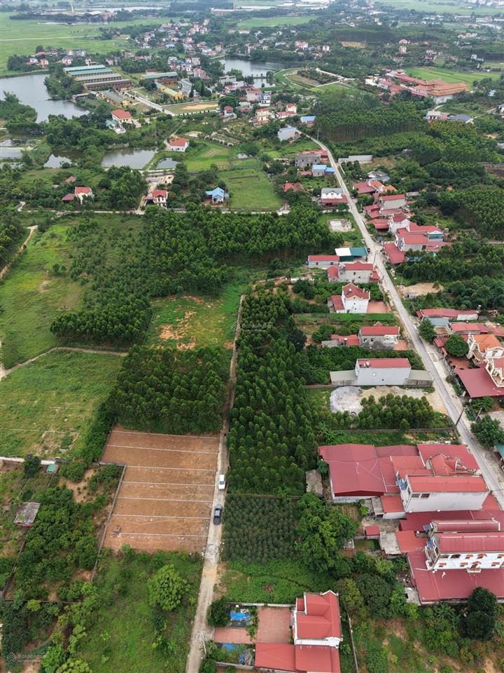 Bán đất 205m2 tại xã lan mẫu, huyện lục nam, bắc giang, giá siêu hời 1,1 tỷ