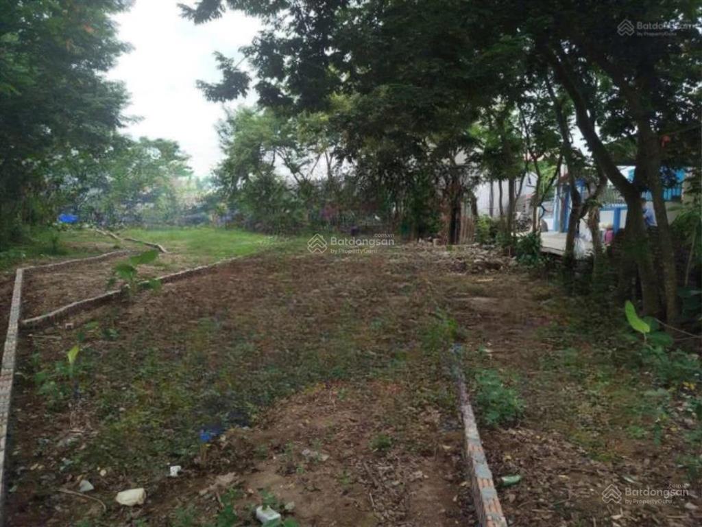 Bán đất 162m2, 13 triệu/m2, giang sơn, gia bình, bắc ninh đẹp xuất sắc