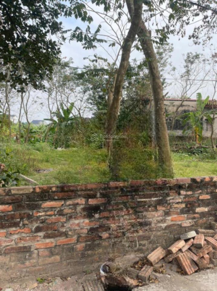 Bán đất 162m2, 13 triệu/m2, giang sơn, gia bình, bắc ninh đẹp xuất sắc