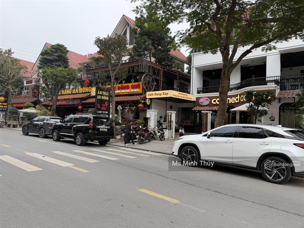 Biệt thự mặt phố siêu hiếm tại the terra an hưng dt 445m2 xây 4 tầng, mt 25m, kinh doanh siêu khủng