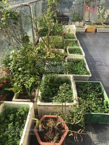 Bán căn hộ sân vườn chung cư tsq  euroland, dt 72m2 + sân vườn 18m2, 2pn, 2wc, giá ưu đãi 6 tỷ