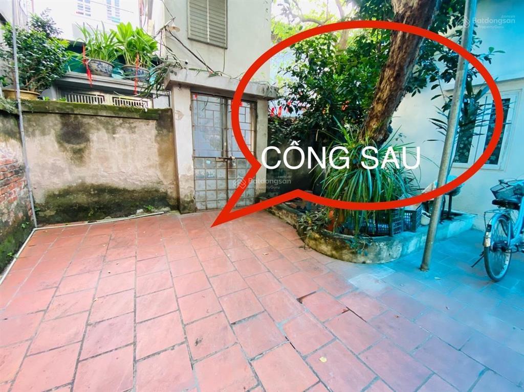 Bán nhanh siêu phẩm 350m2 mặt phố võ chí công