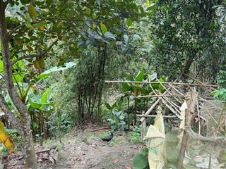 Bán đất tại xóm nẻ, xã mường hoa, tỉnh phú thọ