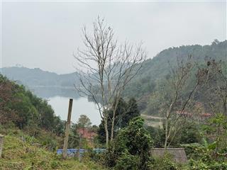 Bán đất tại xóm nẻ, xã mường hoa, tỉnh phú thọ. view hồ hòa bình, hàng xóm resort 5 sao priobay
