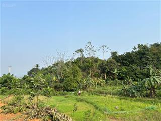 Bán thửa đất tại xóm vưa sống, xã ngọc mỹ, huyện tân lạc, tỉnh hòa bình