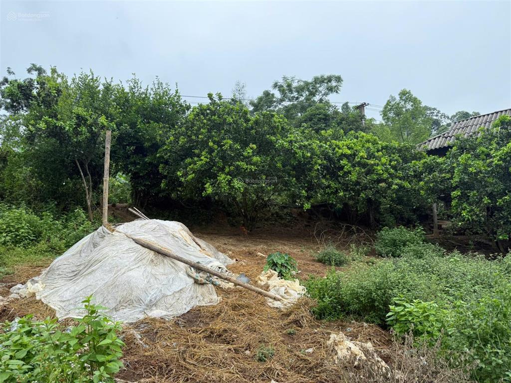 Bán đất khu mường phoi, xã tân lạc, tỉnh phú thọ