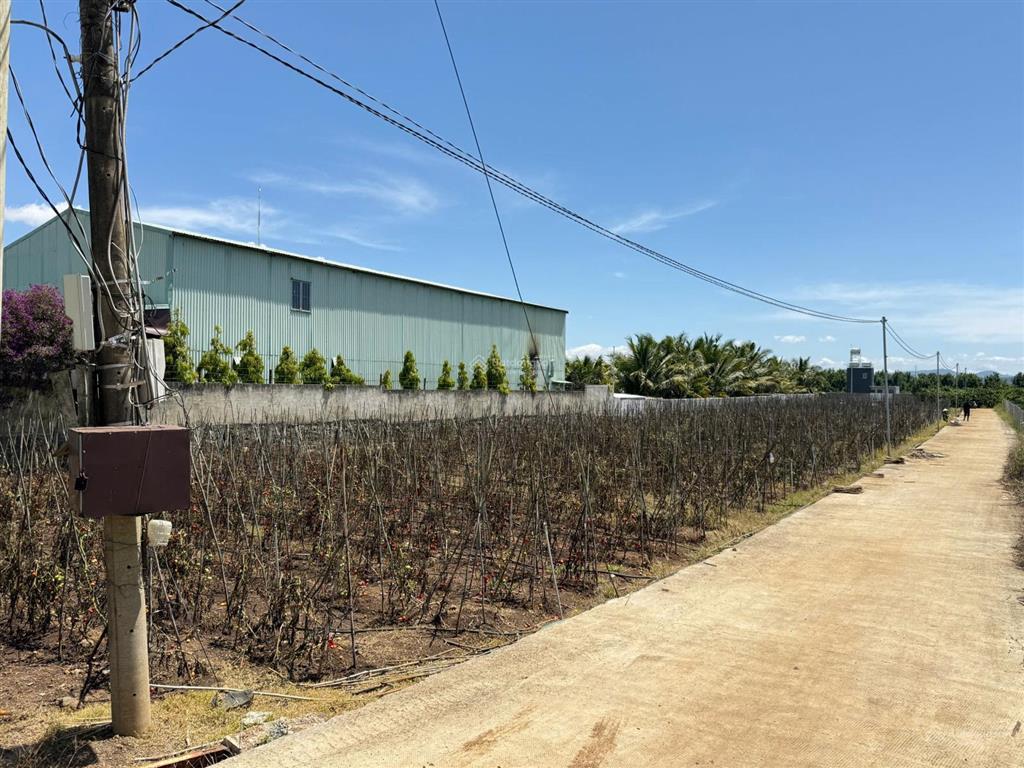 Bán đất tại dh1, tân hội, huyện đức trọng, 890 triệu/lô (bao thuế phí), 491m2