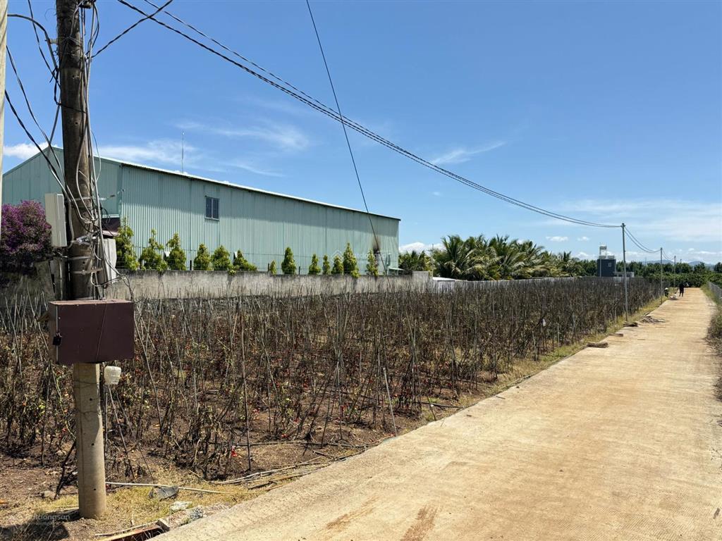 Bán đất tại dh1, tân hội, huyện đức trọng, 890 triệu/lô (bao thuế phí), 491m2