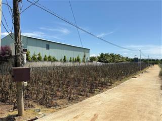 Bán đất tại dh1, tân hội, huyện đức trọng, 890 triệu/lô (bao thuế phí), 491m2