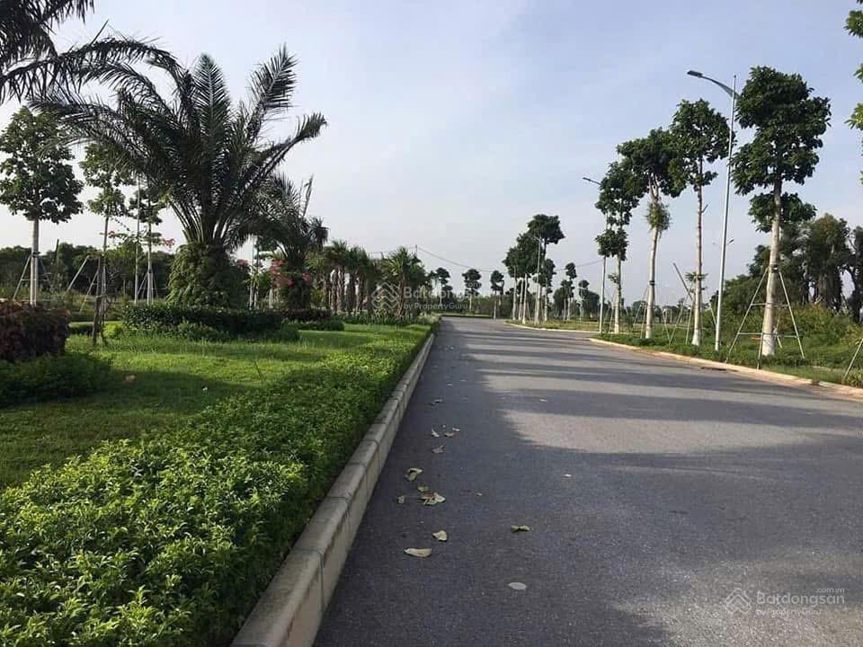 Forestia park phố nối. đăng ký sớm nhận suất đẹp và vị trí ưu tiên